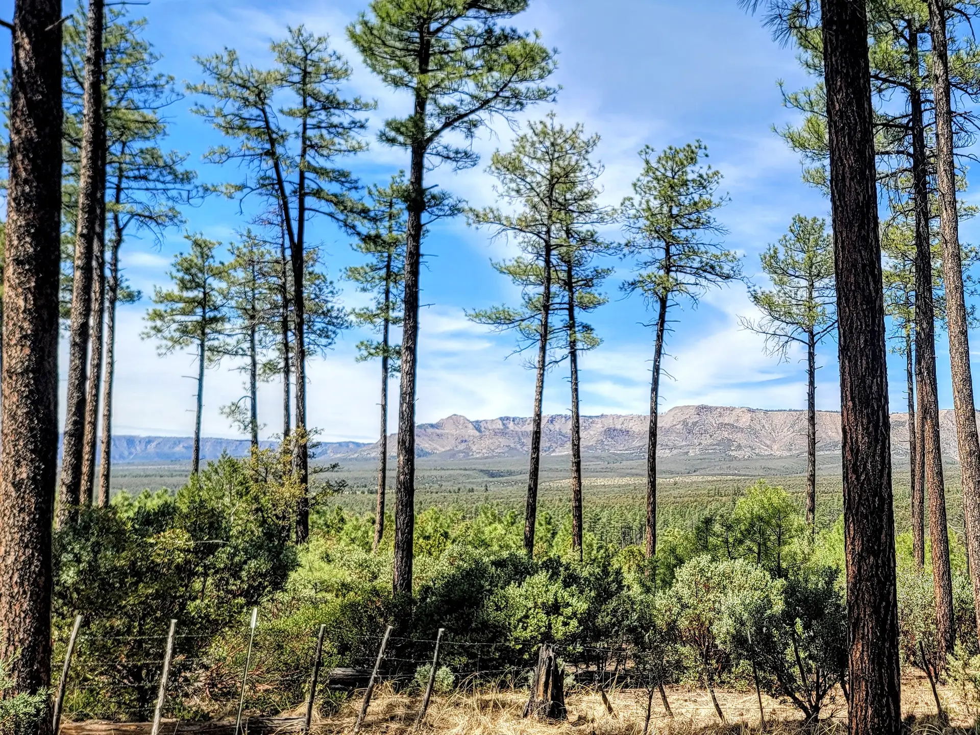 Expansive view of the Mogollon Rim